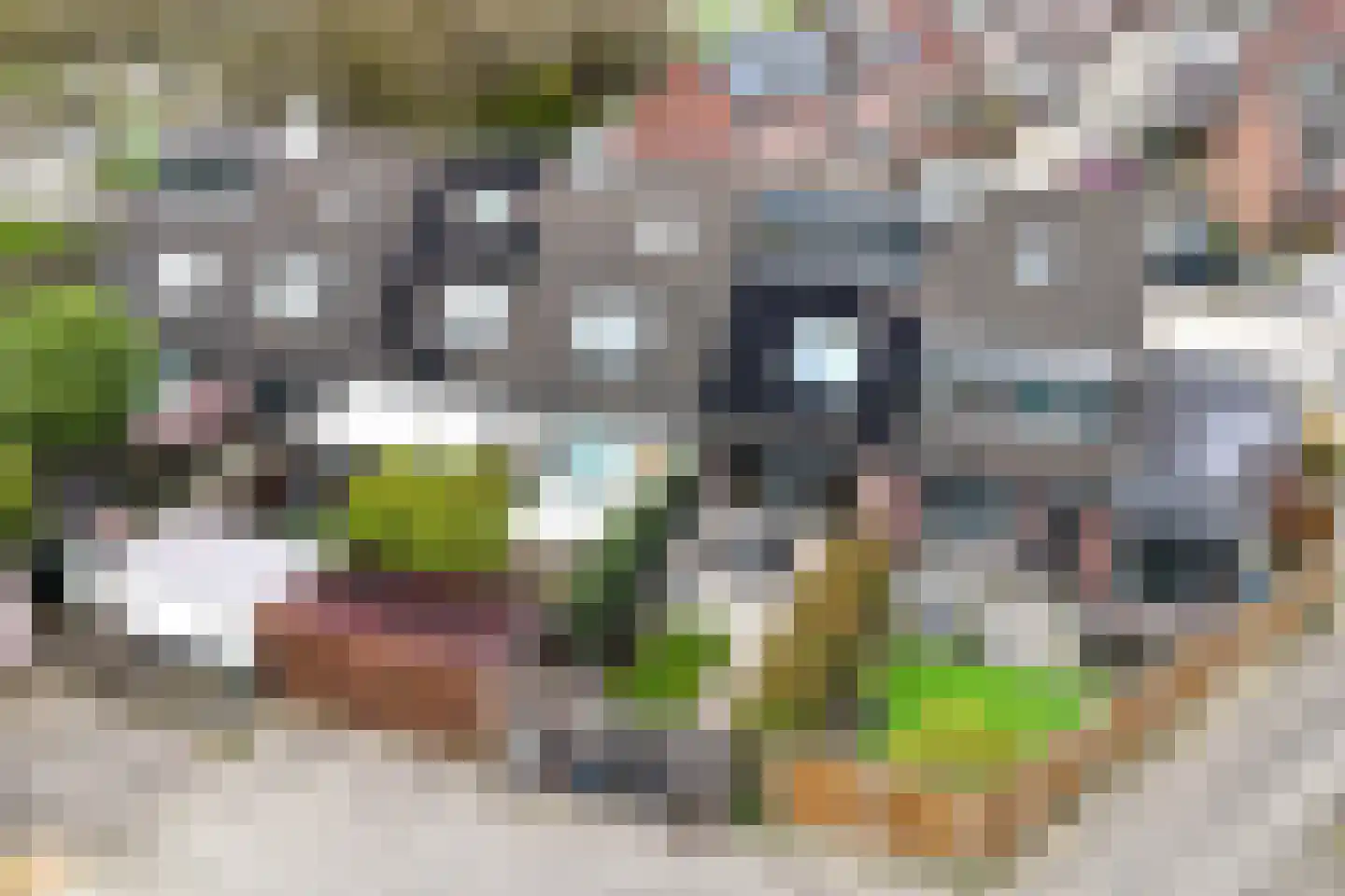 Getijdenlaan 10 Lelystad thumbnail 38