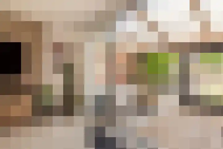 Getijdenlaan 81 Lelystad thumbnail 4