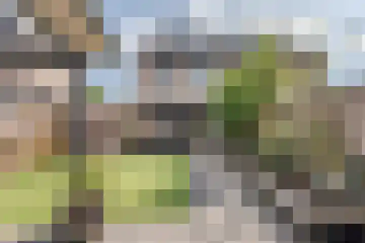 Getijdenlaan 81 Lelystad thumbnail 5