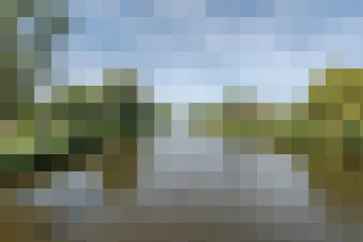 Getijdenlaan 81 Lelystad thumbnail 53