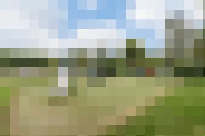 Getijdenlaan 81 Lelystad thumbnail 54