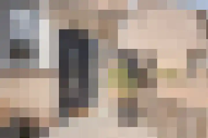 Getijdenlaan 81 Lelystad thumbnail 8