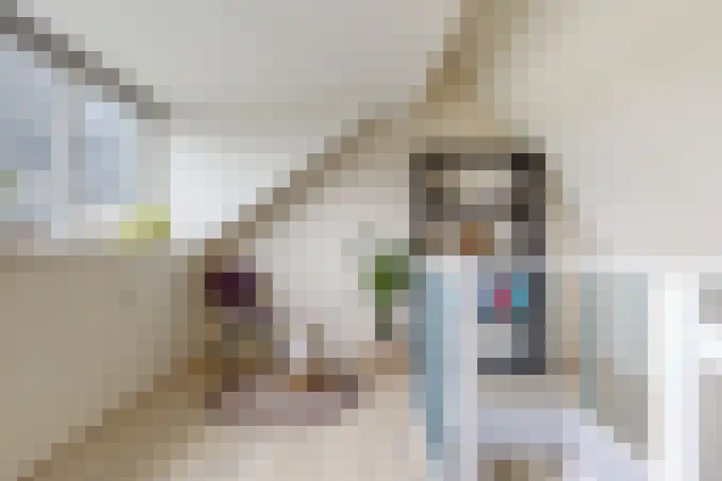 Getijdewater 2 Houten thumbnail 22