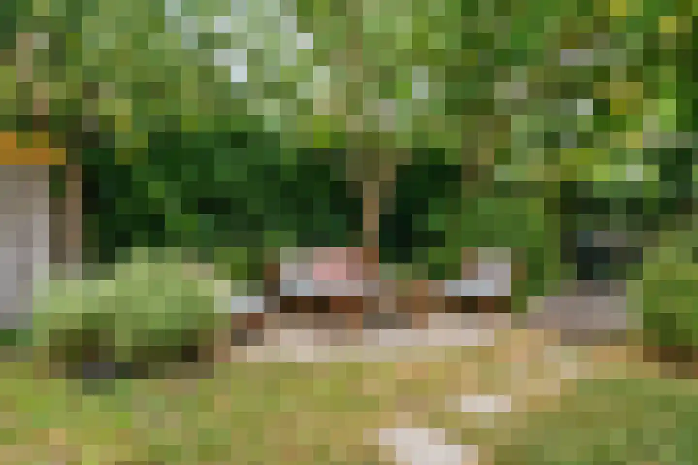 Getijdewater 2 Houten thumbnail 27