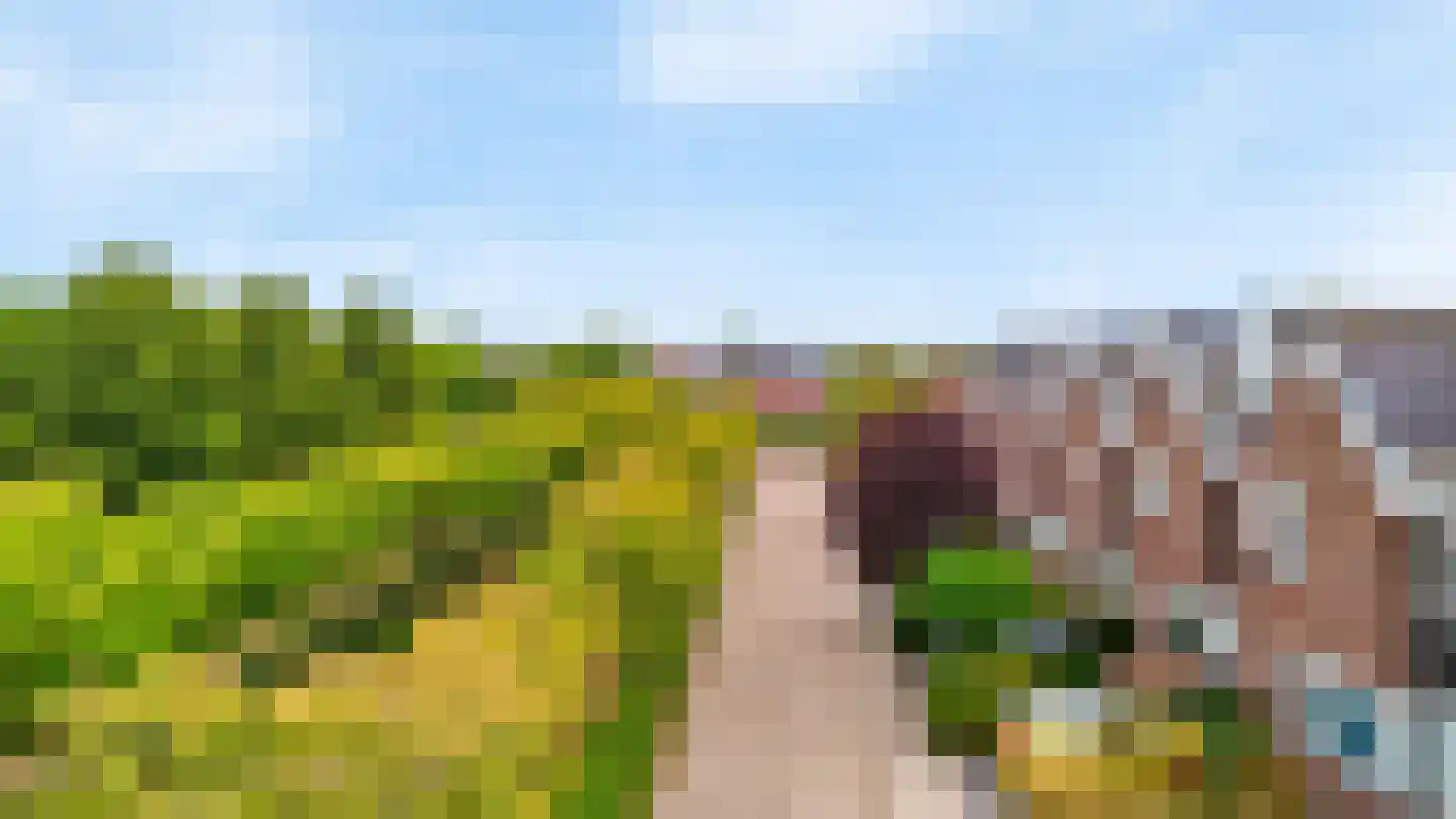 Getijdewater 2 Houten thumbnail 35