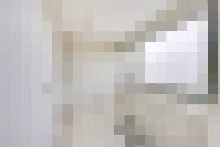 Getijdewater 3 Houten thumbnail 10