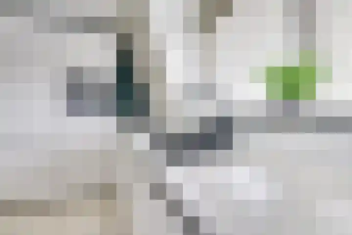 Getijdewater 3 Houten thumbnail 13