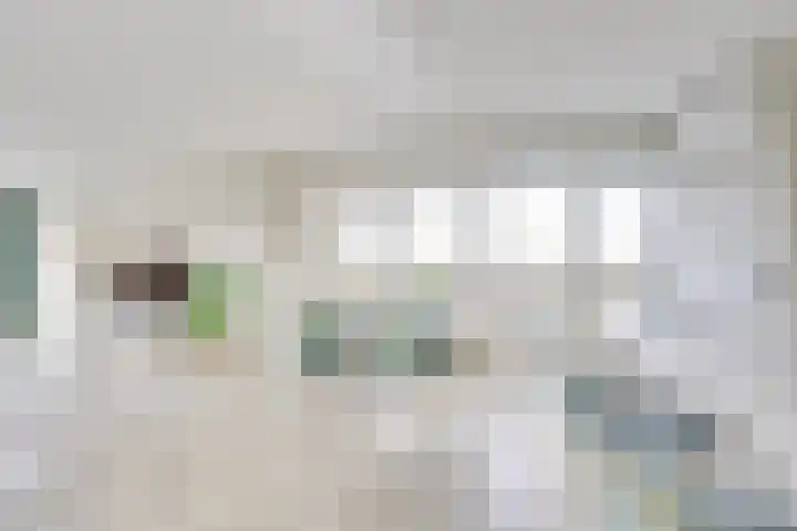 Getijdewater 3 Houten thumbnail 15