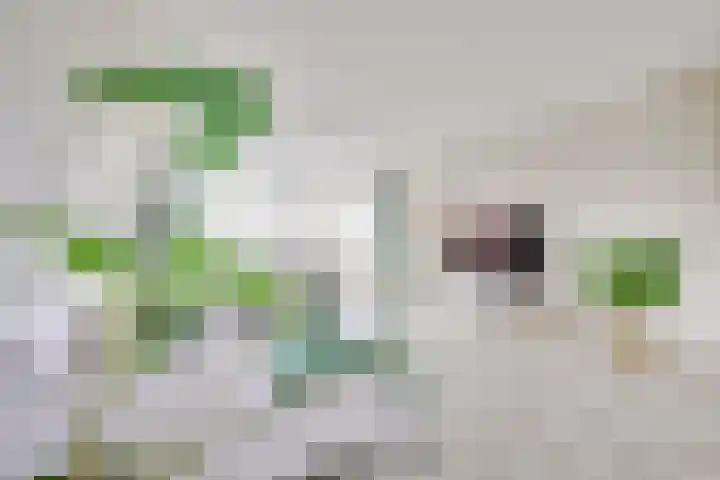 Getijdewater 3 Houten thumbnail 16