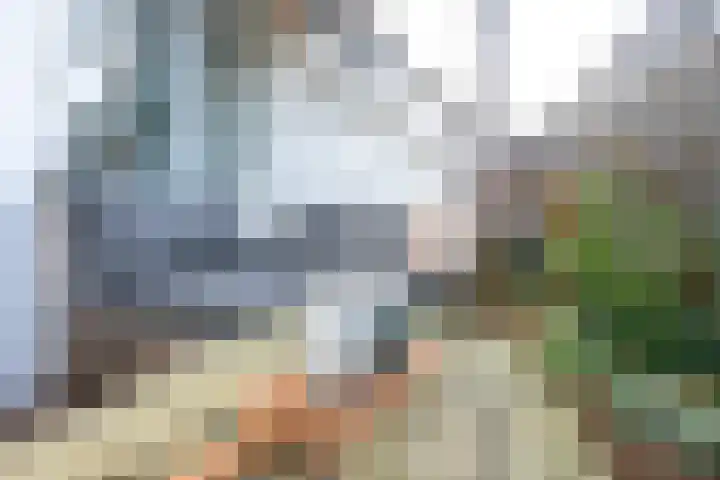 Getijdewater 3 Houten thumbnail 22