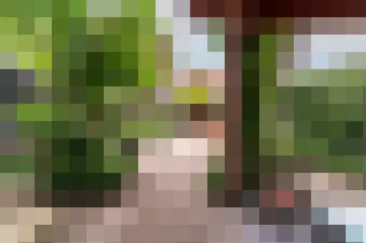 Getijdewater 3 Houten thumbnail 25
