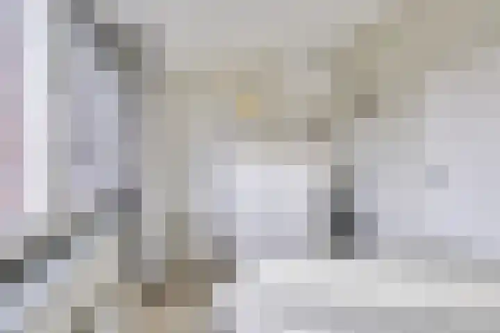 Getijdewater 3 Houten thumbnail 26