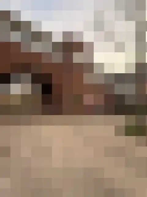 Getijdewater 3 Houten thumbnail 31
