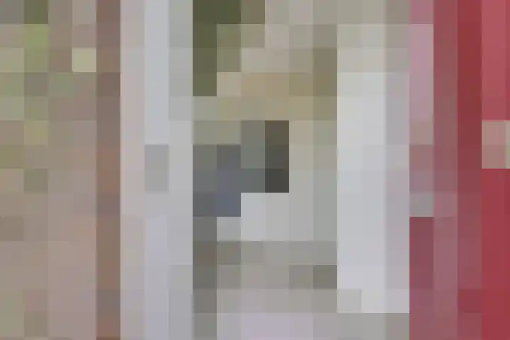 Getijdewater 3 Houten thumbnail 7