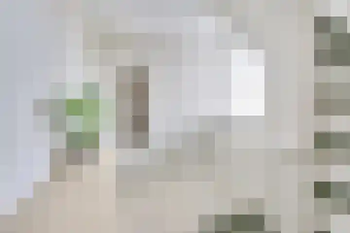 Getijdewater 3 Houten thumbnail 9