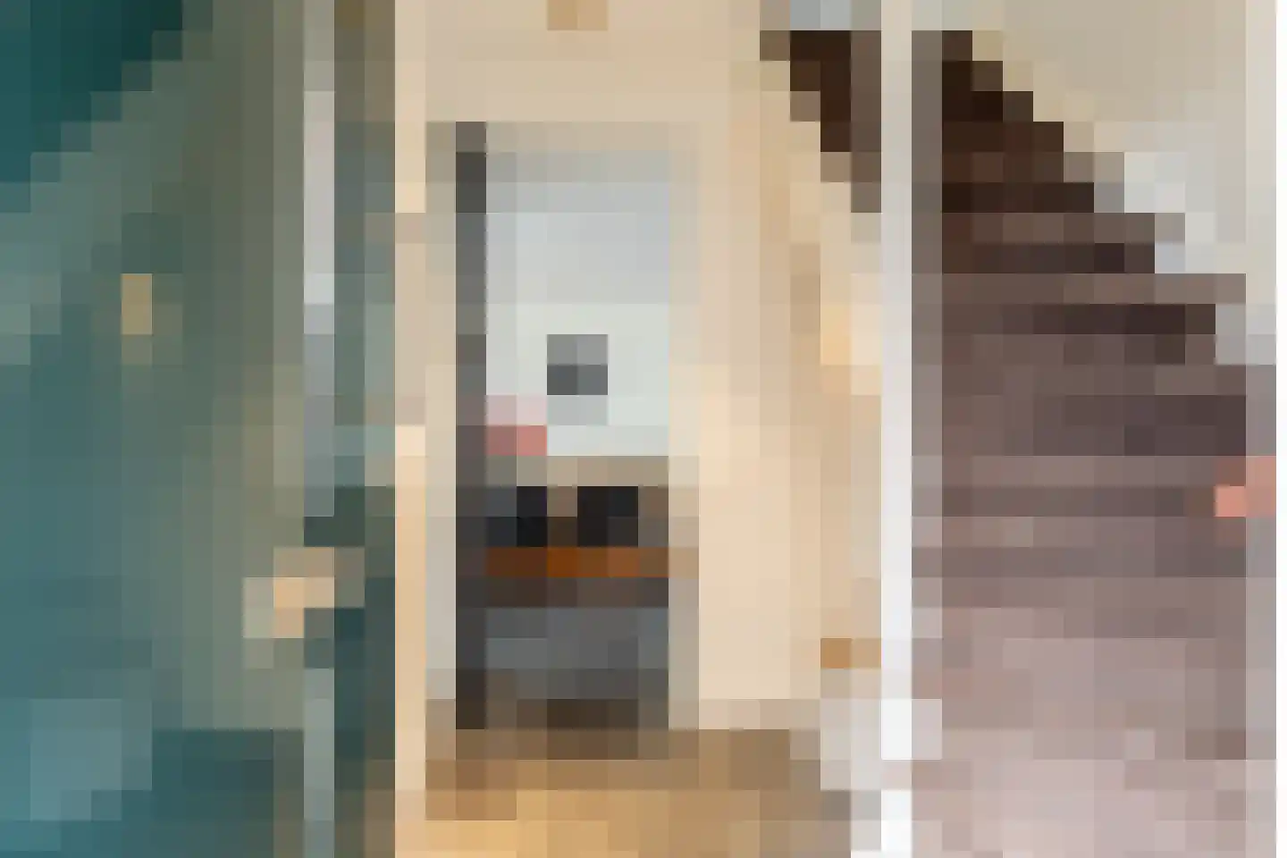 Getijmolen 5 Barendrecht thumbnail 8
