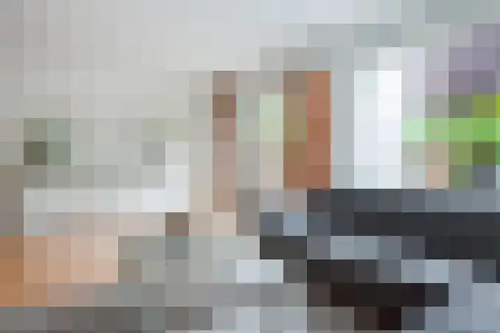 Getijmolenerf 1 Gouda thumbnail 13