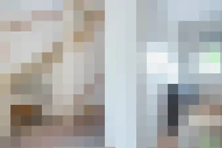 Getijmolenerf 1 Gouda thumbnail 24