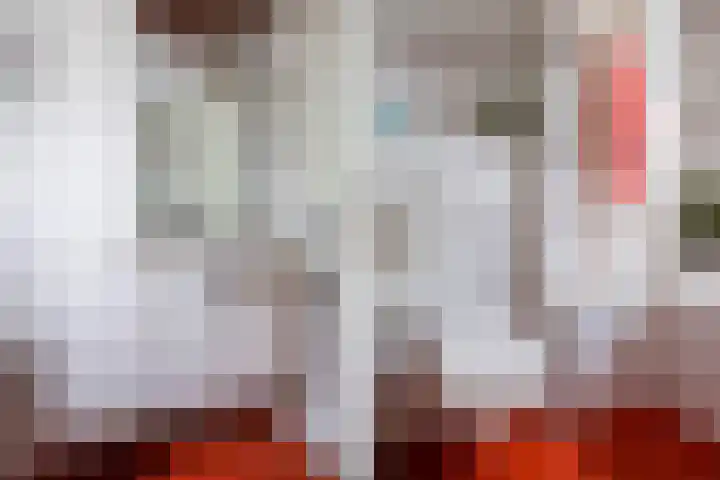 Getijmolenerf 1 Gouda thumbnail 36