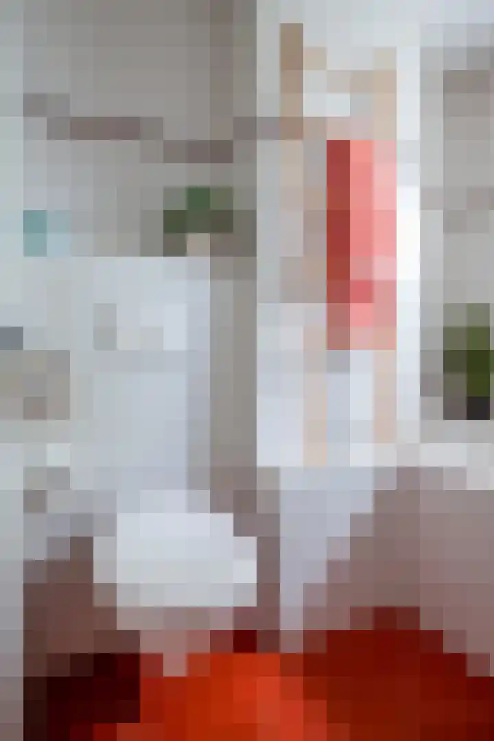 Getijmolenerf 1 Gouda thumbnail 38