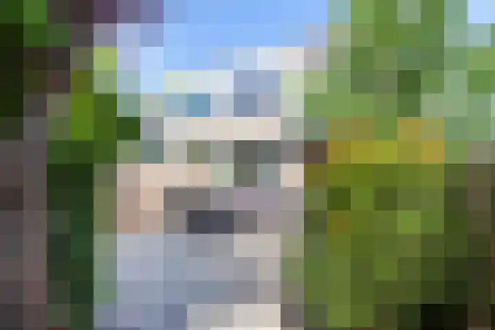 Getijmolenerf 1 Gouda thumbnail 4