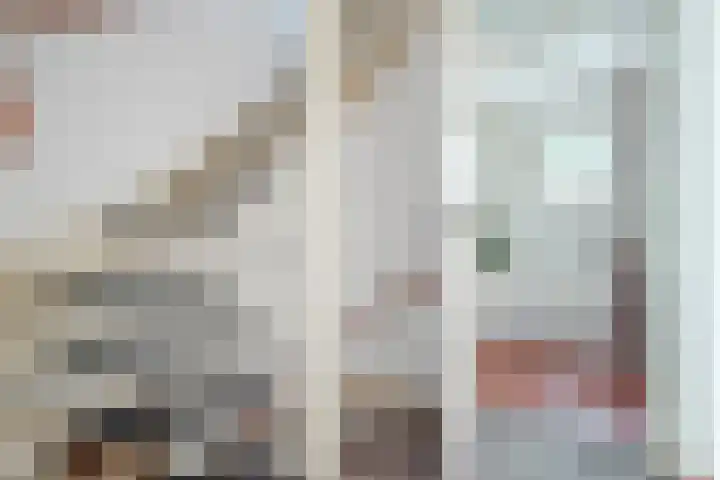 Getijmolenerf 1 Gouda thumbnail 40