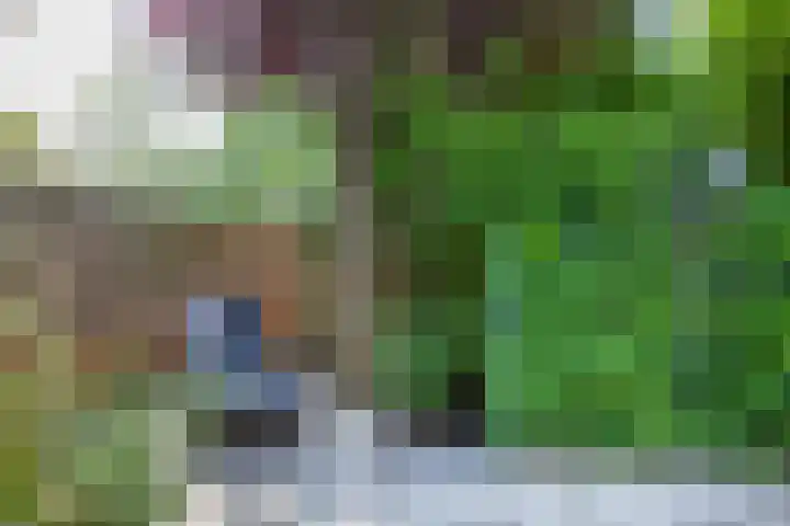 Getijmolenerf 1 Gouda thumbnail 49