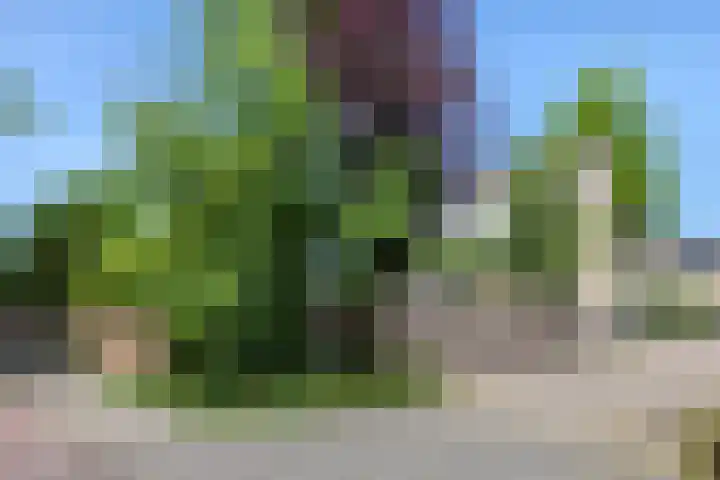 Getijmolenerf 1 Gouda thumbnail 50