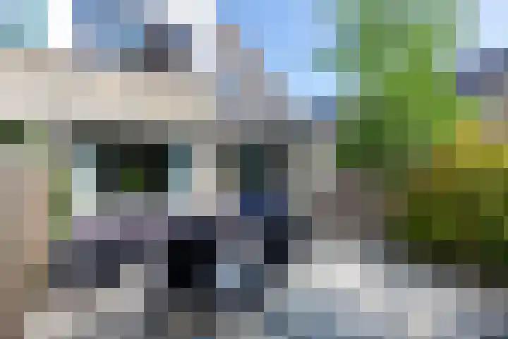 Getijmolenerf 1 Gouda thumbnail 52