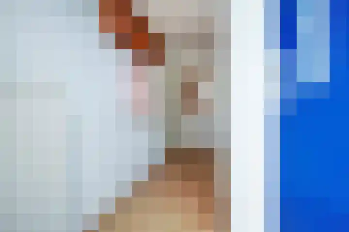 Getijmolenerf 1 Gouda thumbnail 6