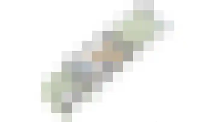 Getijmolenerf 1 Gouda thumbnail 63