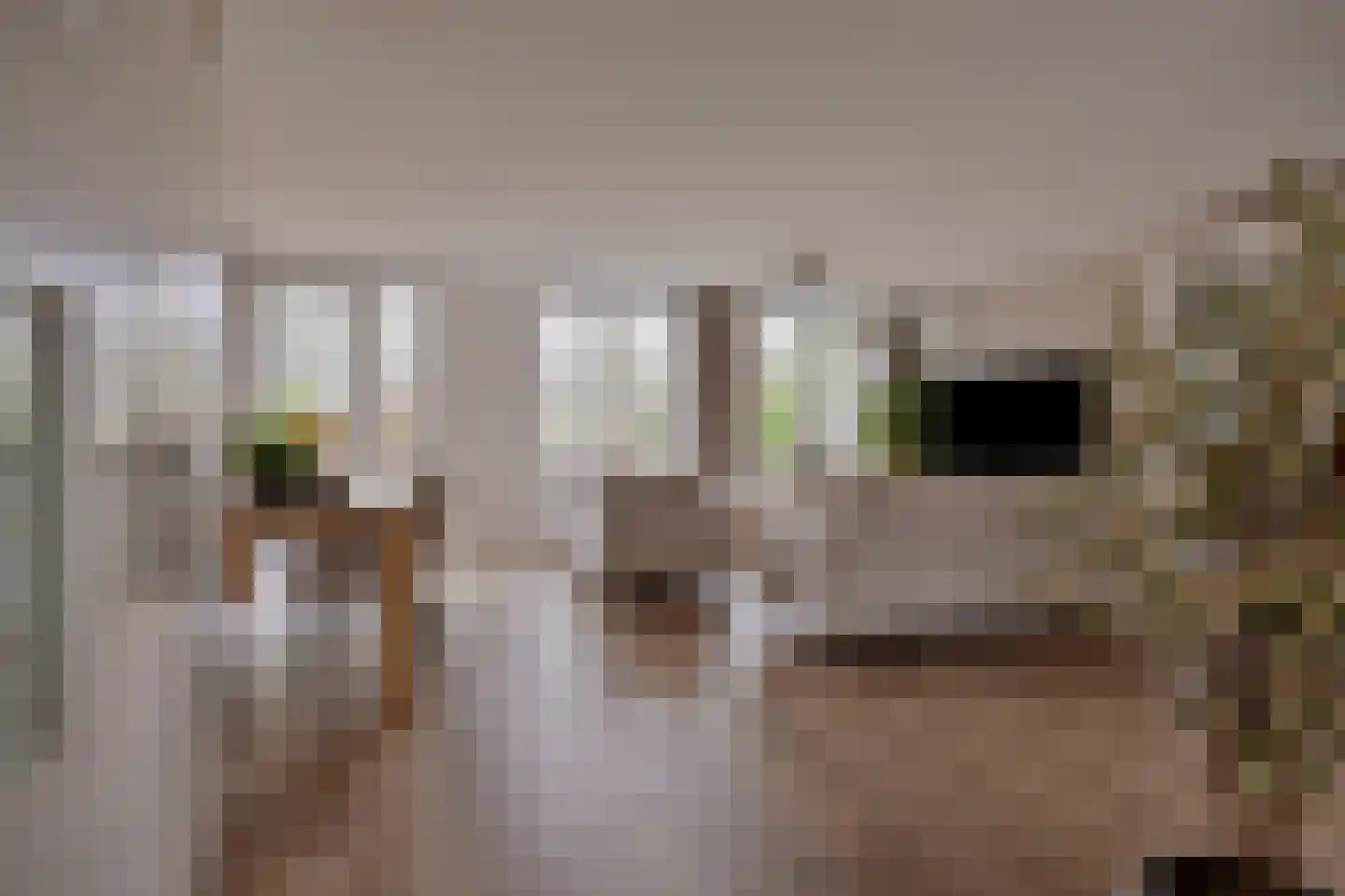 Getijmolenerf 139 Gouda thumbnail 11