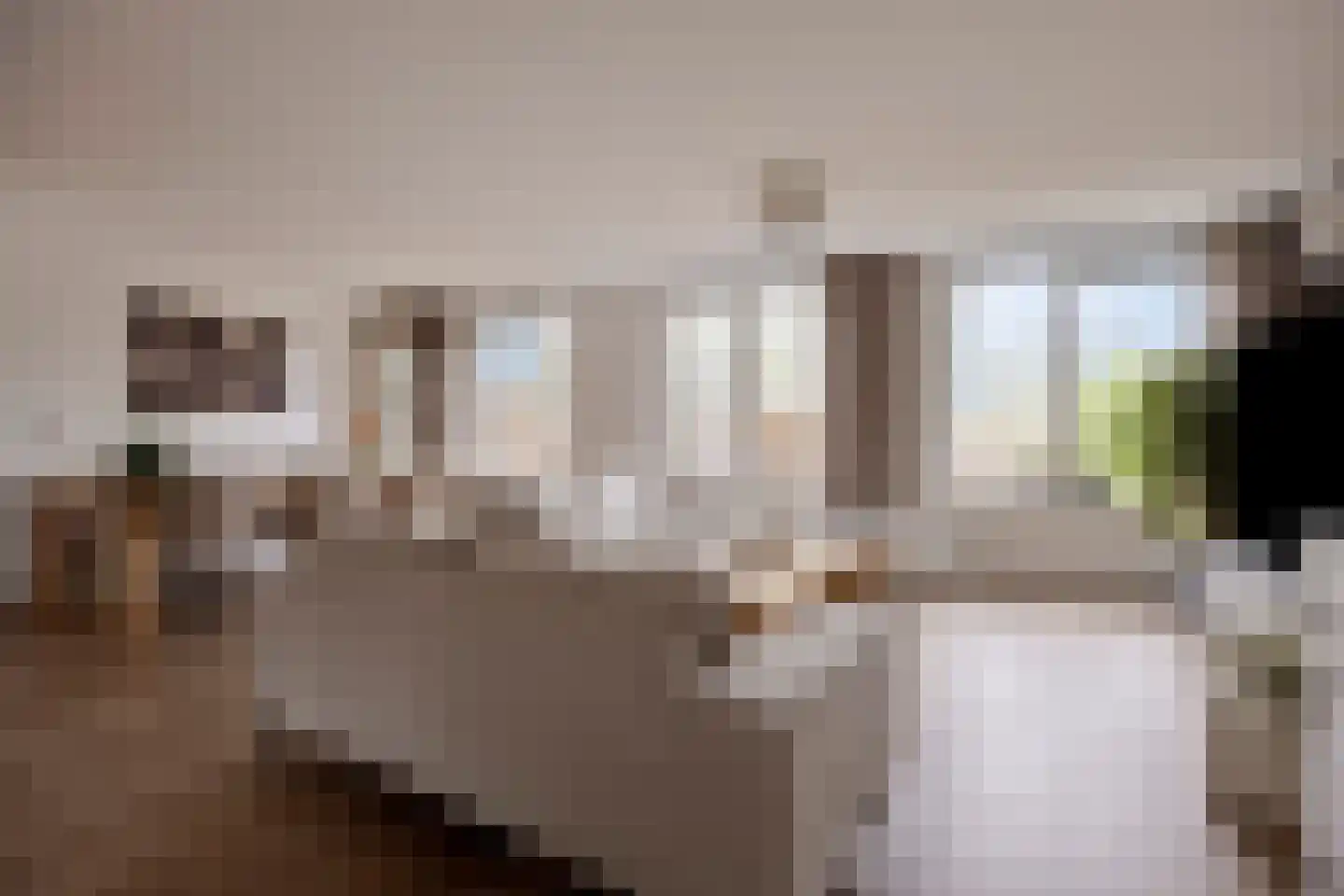 Getijmolenerf 139 Gouda thumbnail 14