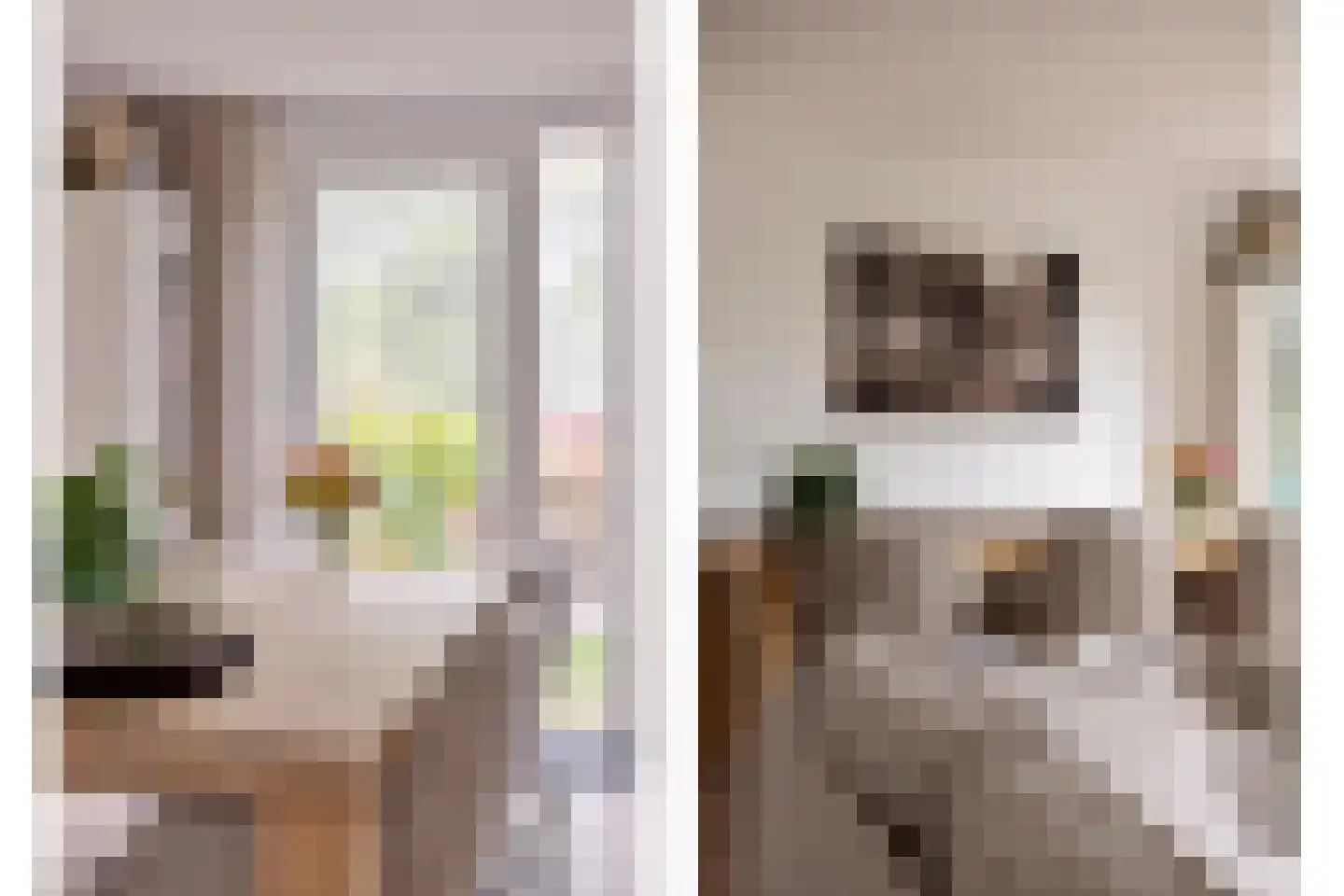 Getijmolenerf 139 Gouda thumbnail 15