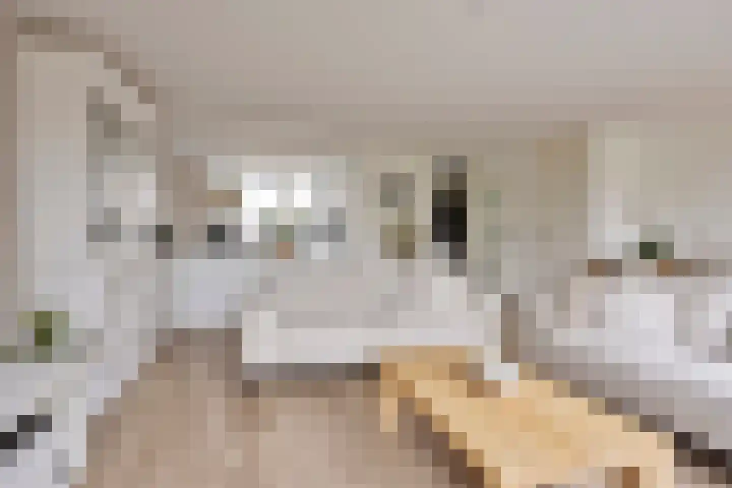 Getijmolenerf 139 Gouda thumbnail 17