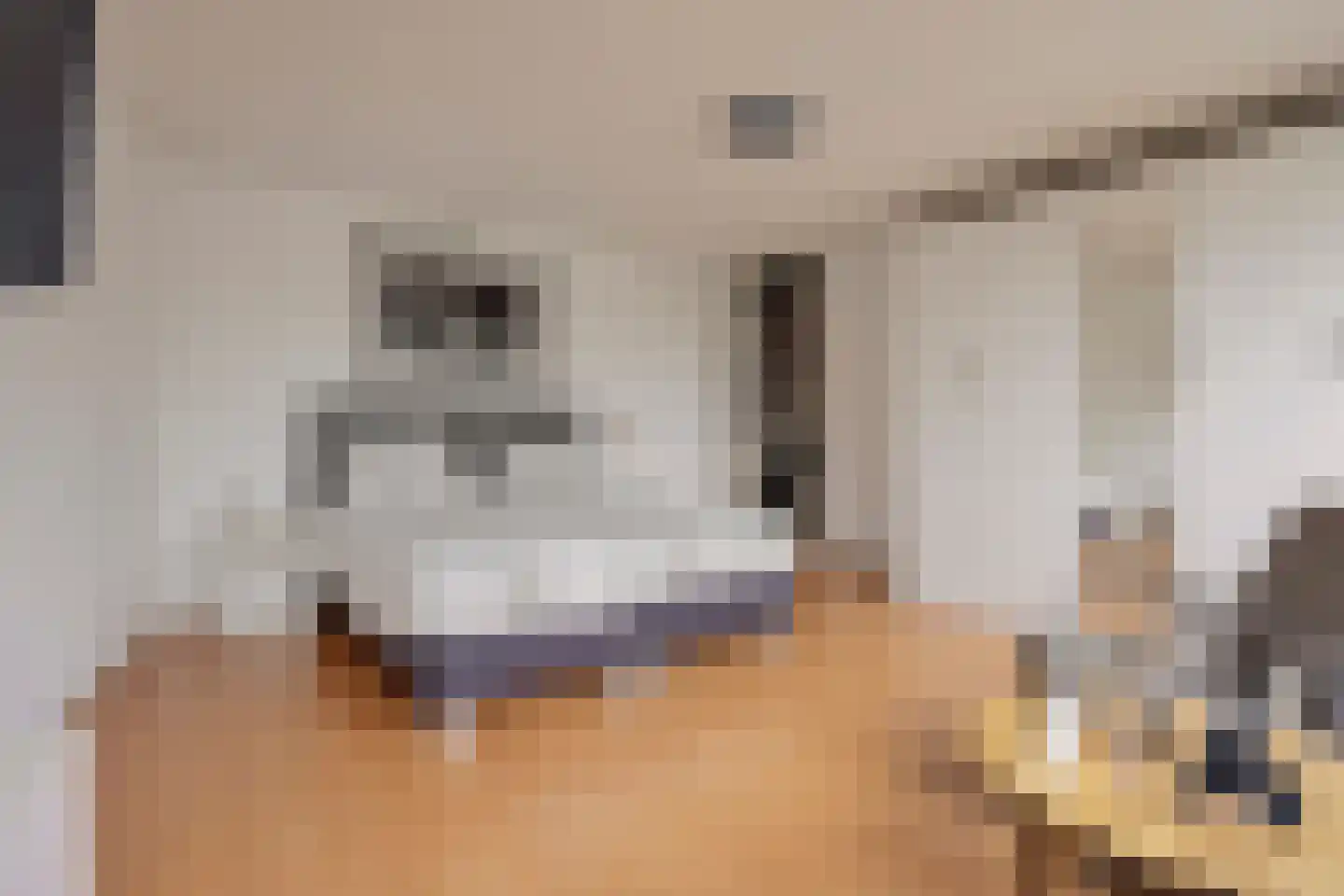 Getijmolenerf 139 Gouda thumbnail 26