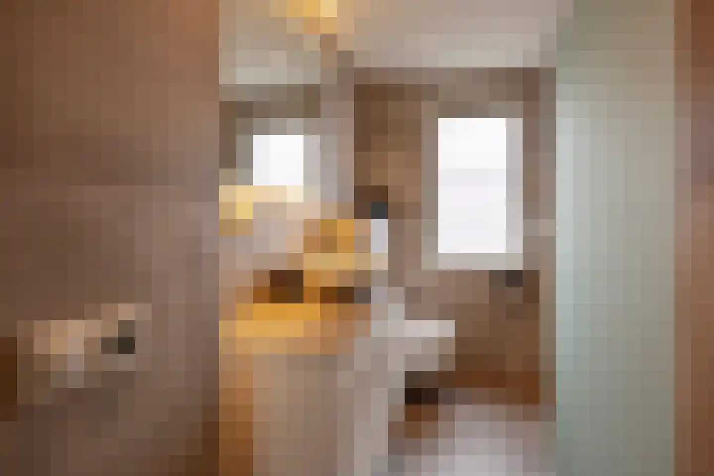 Getijmolenerf 139 Gouda thumbnail 28