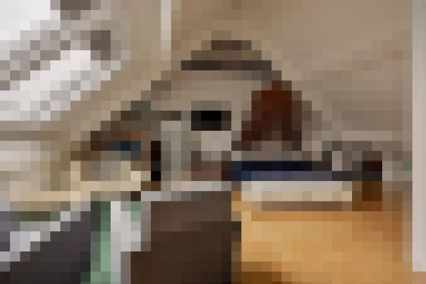 Getijmolenerf 139 Gouda thumbnail 34
