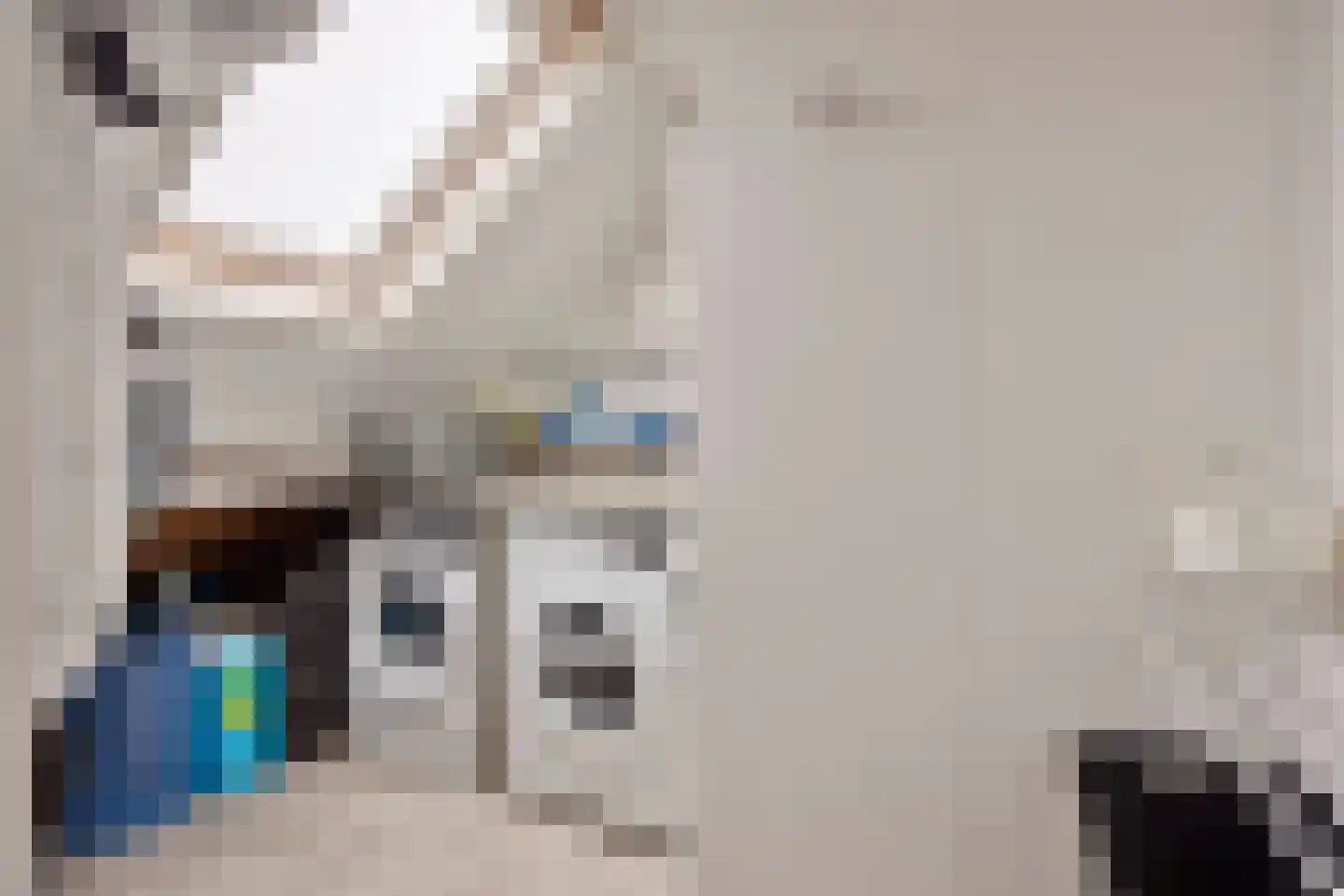 Getijmolenerf 139 Gouda thumbnail 37