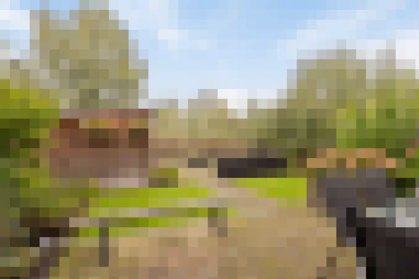 Getijmolenerf 139 Gouda thumbnail 39