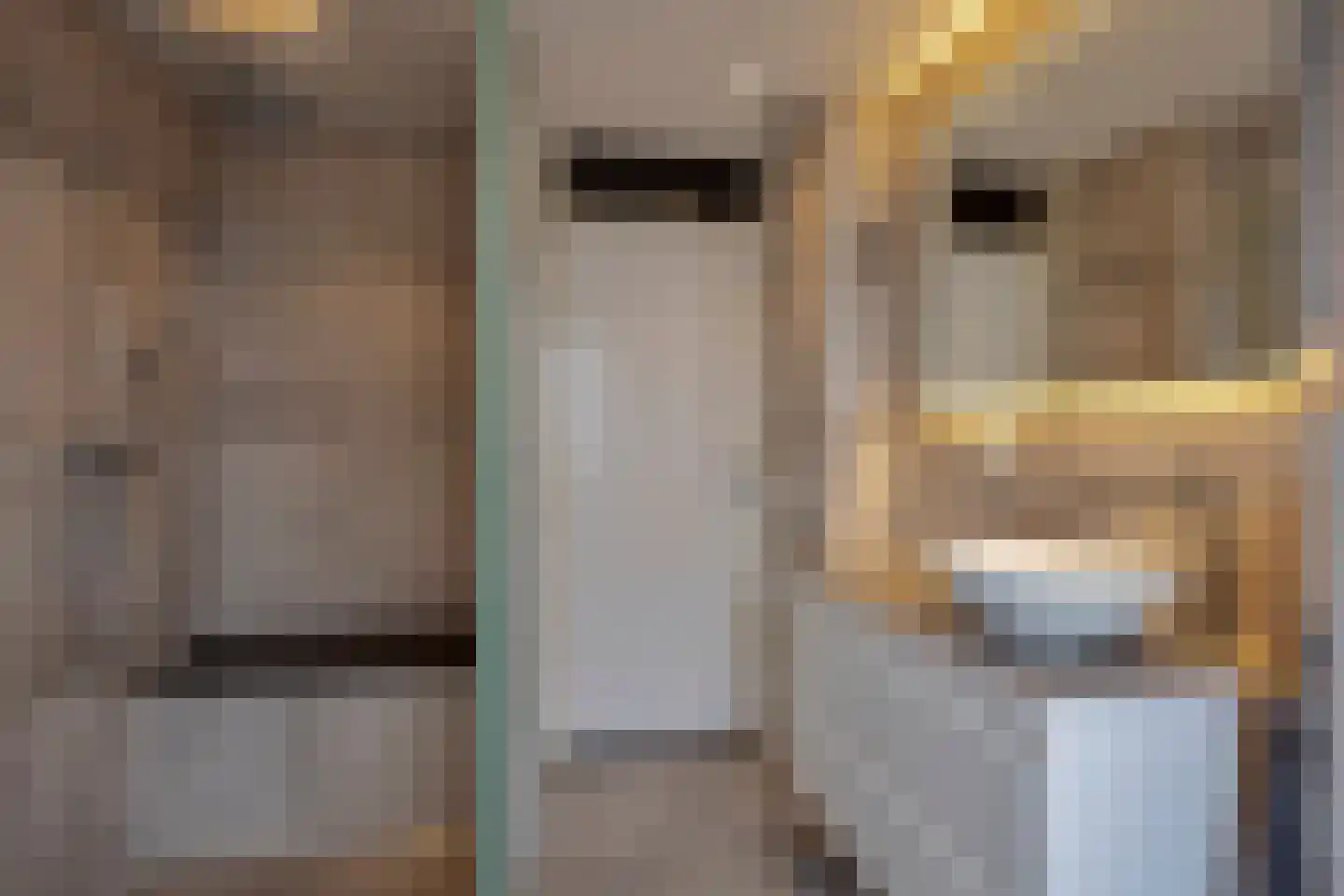 Getijmolenerf 139 Gouda thumbnail 4