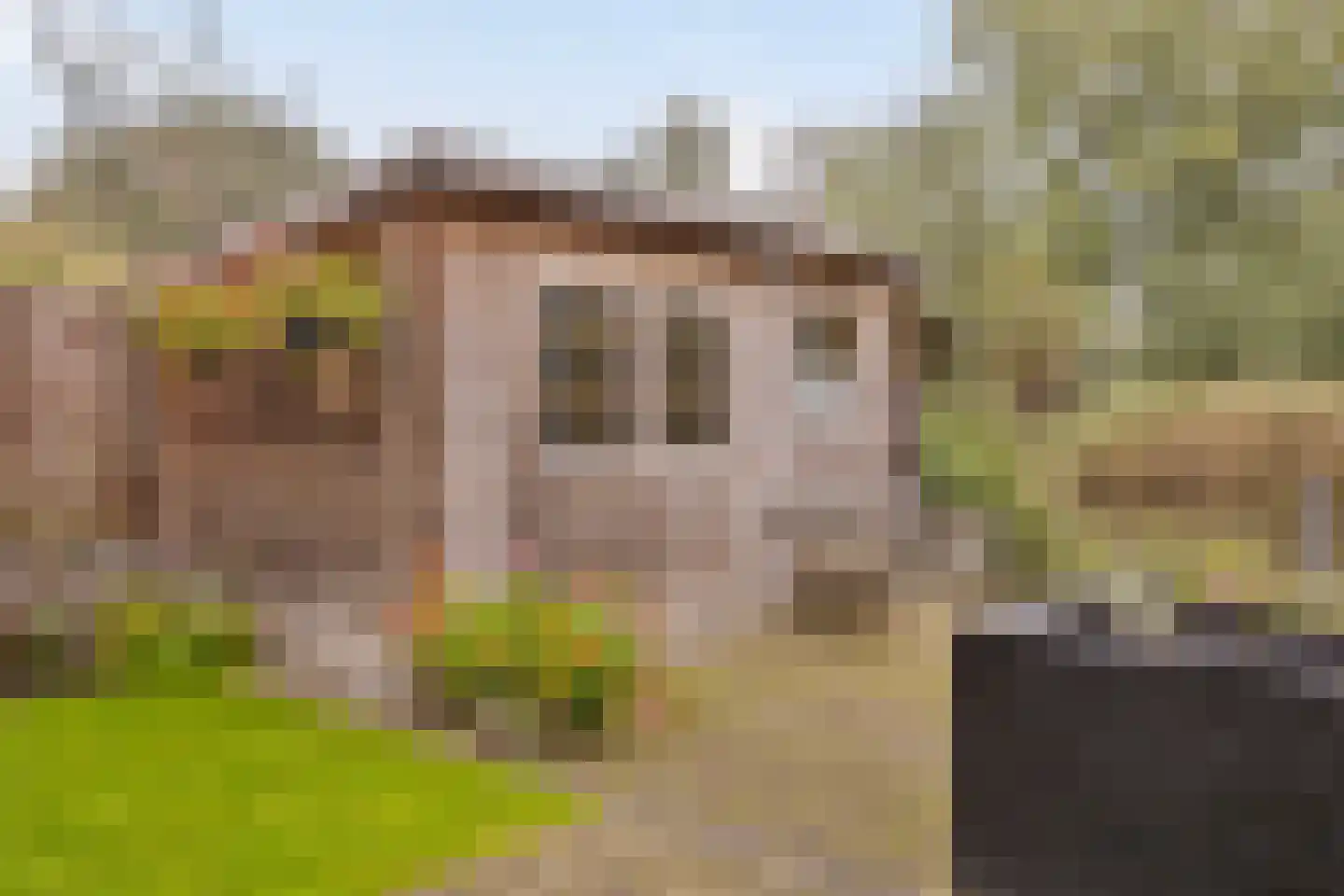 Getijmolenerf 139 Gouda thumbnail 42