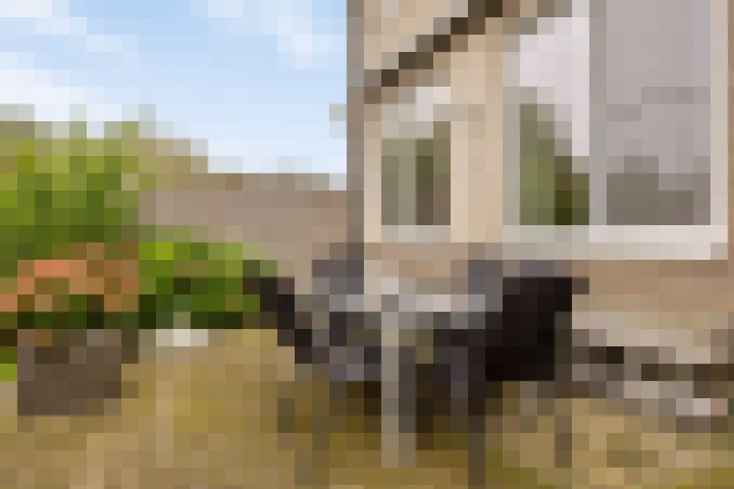Getijmolenerf 139 Gouda thumbnail 43