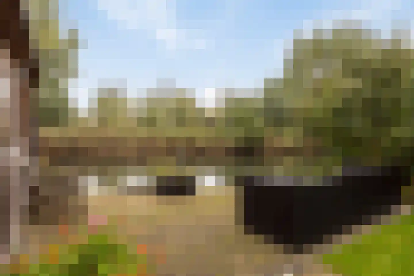 Getijmolenerf 139 Gouda thumbnail 44