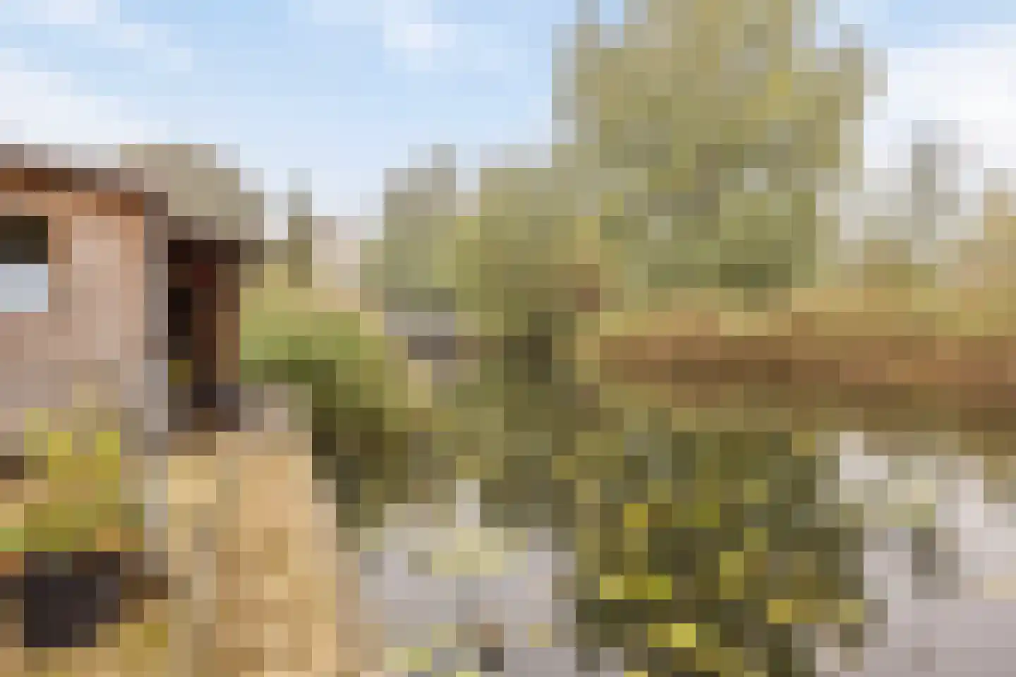 Getijmolenerf 139 Gouda thumbnail 45