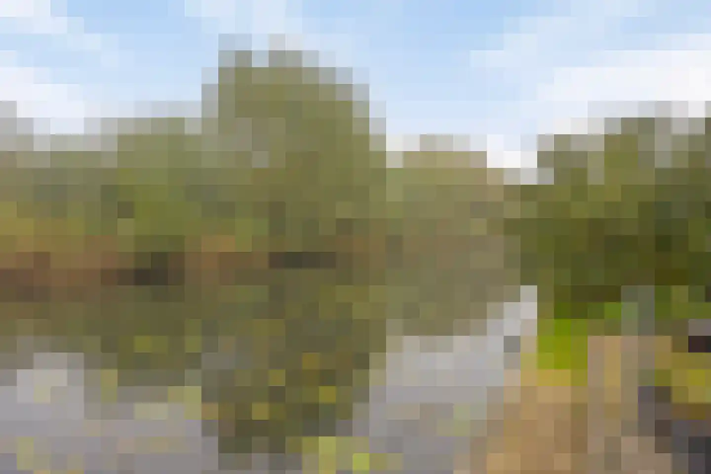 Getijmolenerf 139 Gouda thumbnail 46