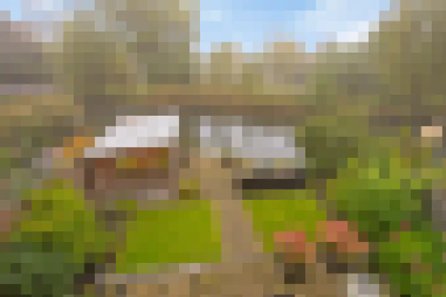 Getijmolenerf 139 Gouda thumbnail 52