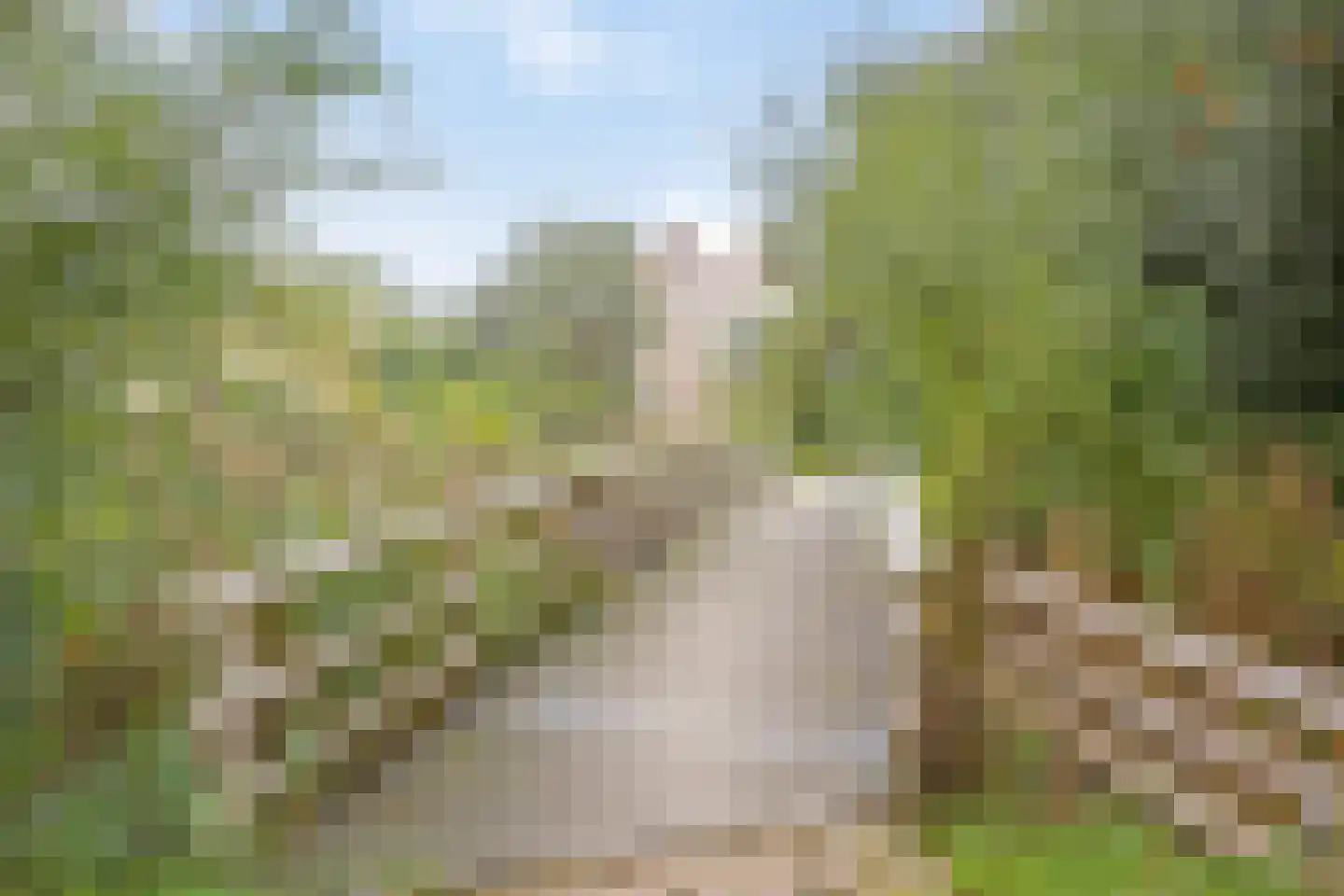 Getijmolenerf 139 Gouda thumbnail 56