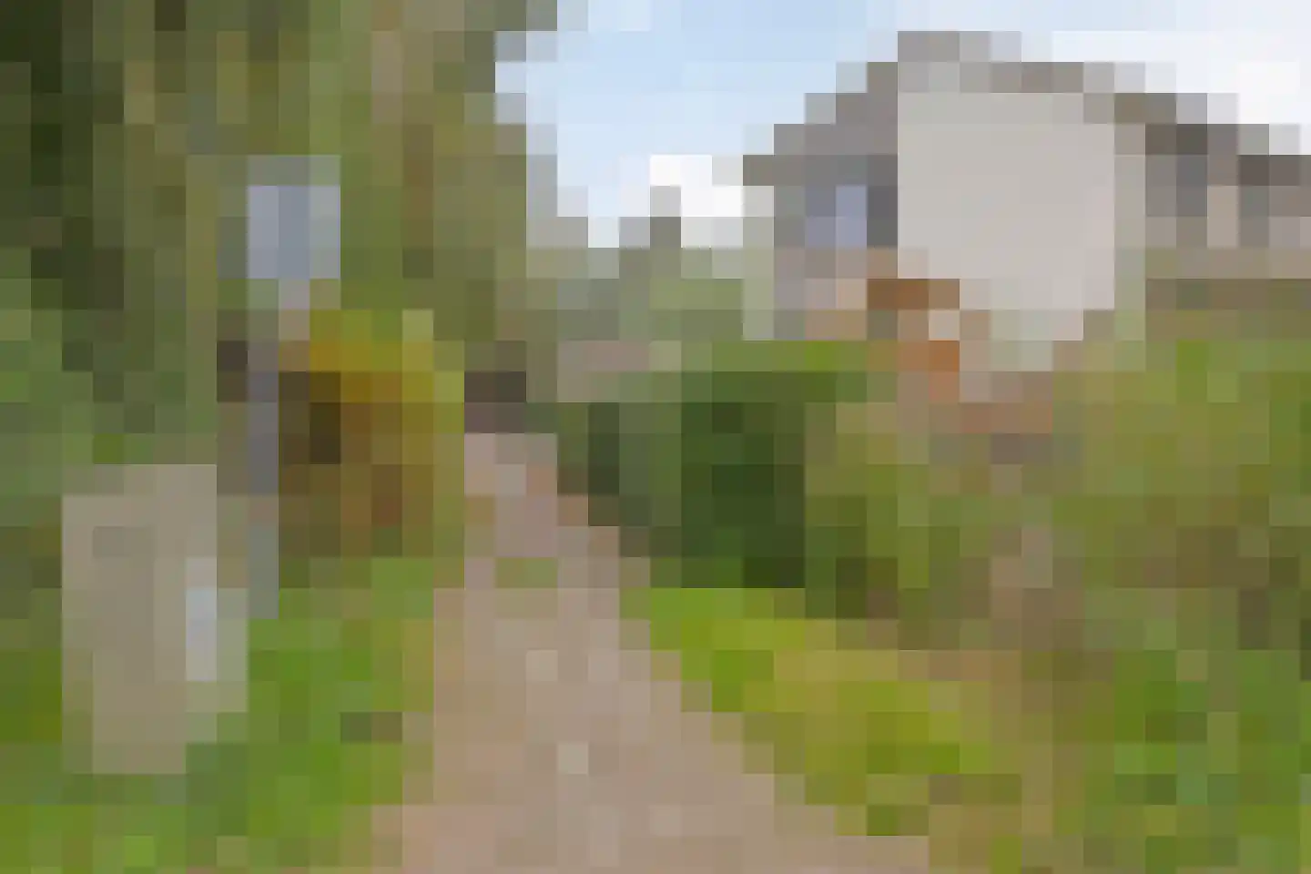 Getijmolenerf 139 Gouda thumbnail 62