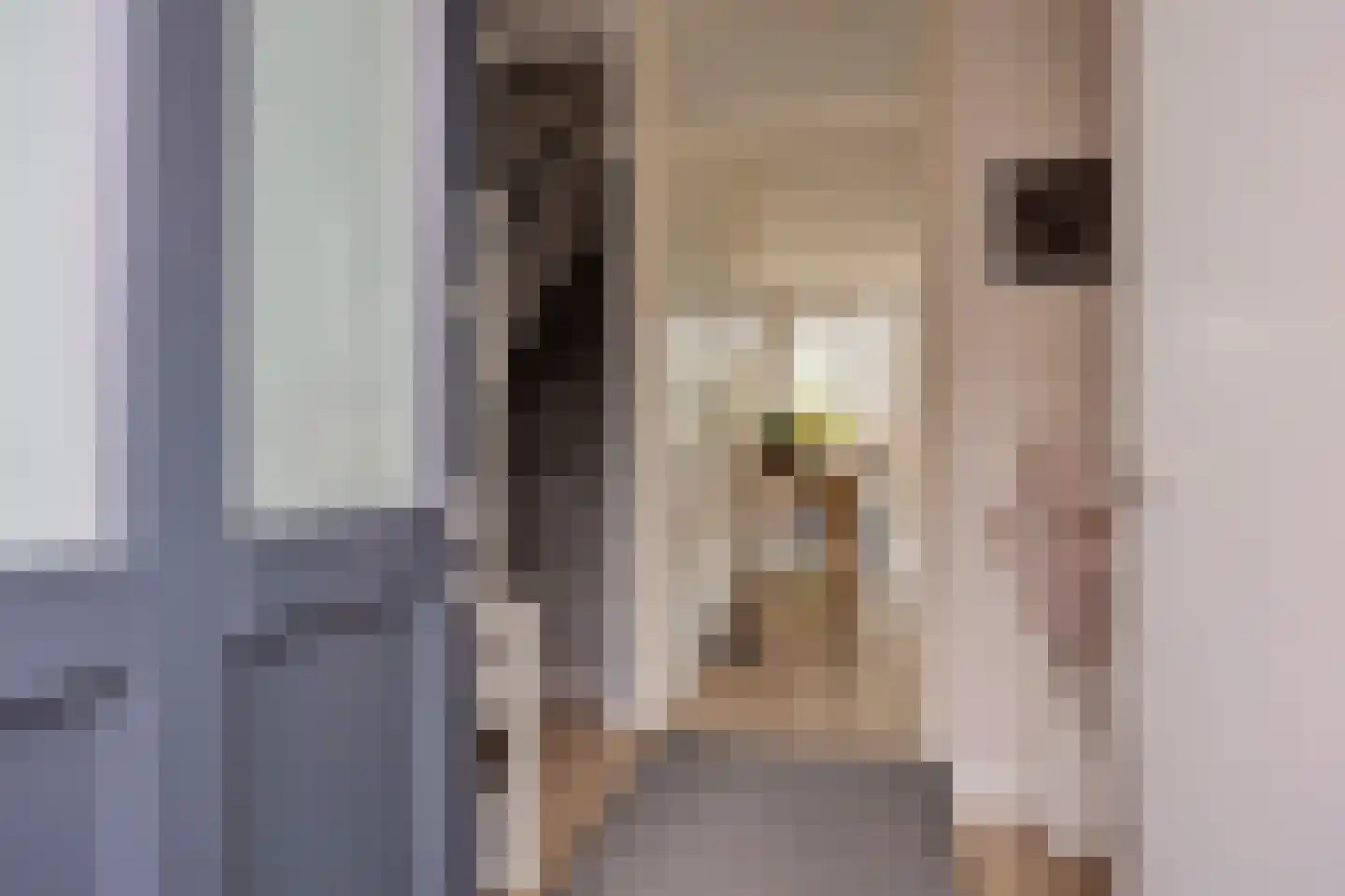 Getijmolenerf 139 Gouda thumbnail 7